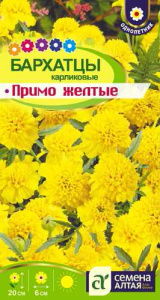 Бархатцы Примо Желтые карликовые купить