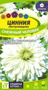 Цинния Снежный Человек кактусовидная  купить