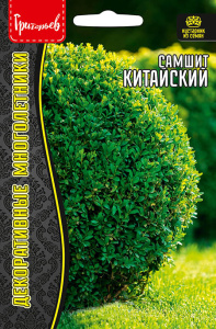 Самшит Китайский купить