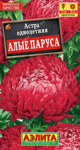 Астра Алые паруса купить