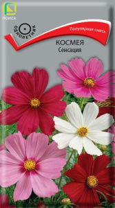 Космея Сенсация купить