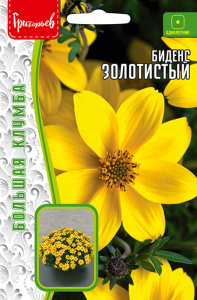Биденс Золотистый купить