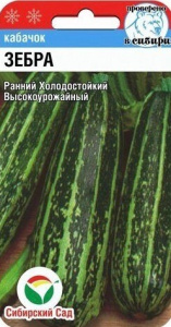 Кабачок Зебра  купить