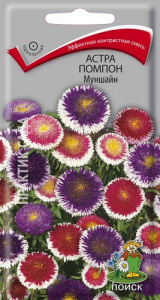 Астра Муншайн помпонная купить