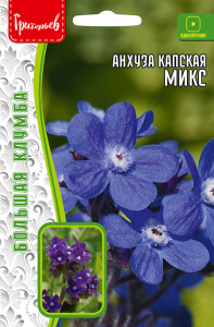 Анхуза капская Микс купить