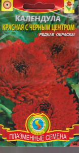 Календула Красная с чёрным центром  купить