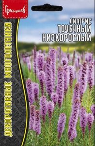 Лиатрис Точечный низкорослый купить