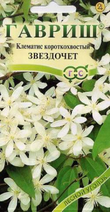 Клематис короткохвостый Звездочет  купить