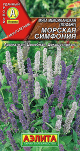 Мята Морская симфония мексиканская  купить