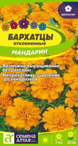 Бархатцы Мандарин откл. махр. купить