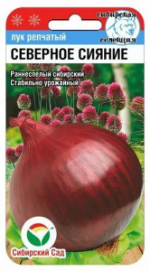Лук (репчатый) Северное сияние  купить
