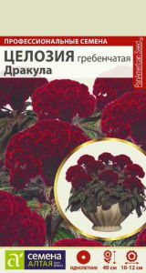 Целозия Дракула гребенчатая  купить