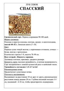 Лук Спасский фото А5 купить