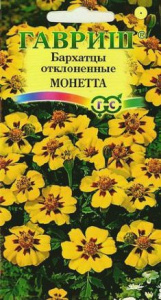 Бархатцы Монетта отклоненные купить