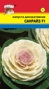 Капуста декоративная Санрайз  купить