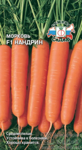 Морковь Нандрин  купить