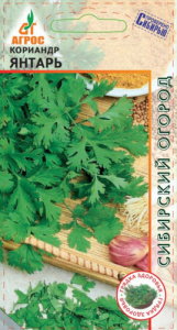 Кориандр Янтарь  купить