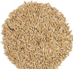 Канореечное семя для птиц/25кг купить