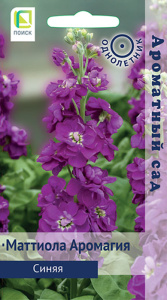 Маттиола Аромагия Синяя купить
