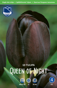 Тюльпан простой поздний "Queen of Night" (1х10шт) купить