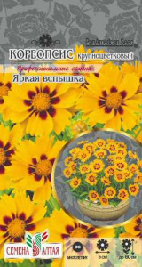 Кореопсис Яркая вспышка крупноцв. 