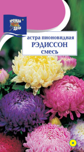 Астра РЭДИССОН, смесь пионовидная купить