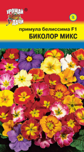 Примула Белиссима Биколор микс купить