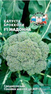 Капуста (брокколи) Мадонна F1 купить