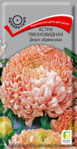 Астра Дюшес абрикосовая пионовидная купить