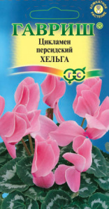 Цикламен персидский Хельга 3шт купить