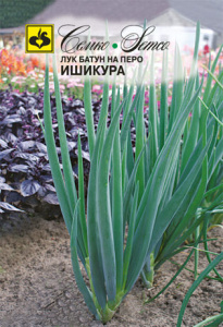 Лук на перо Ишикура, батун купить