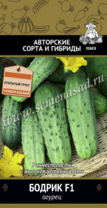 Огурец Бодрик F1 купить