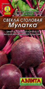 Свекла Мулатка  купить