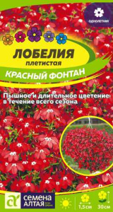 Лобелия Фонтан Красный купить