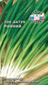 Лук Ранний, батун купить