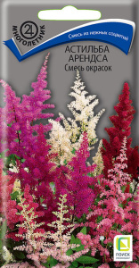 Астильба Арендса Смесь окрасок купить