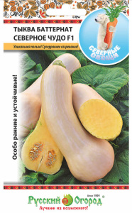 Тыква Баттернат Северное чудо F1 купить