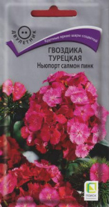 Гвоздика Ньюпорт салмон пинк турецкая купить