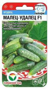 Огурец Малец удалец F1  купить