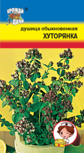 Душица Хуторянка обыкновенная  купить