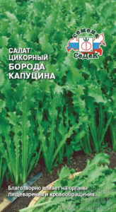 Салат Борода Капуцина (цикорный)  купить