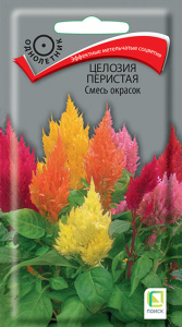 Целозия перистая Смесь окрасок купить