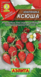 Земляника Ксюша альпийская  купить