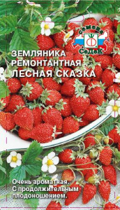 Земляника Лесная сказка (ремонтантная безусая) купить