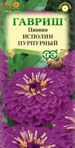 Цинния Исполин пурпурный  купить