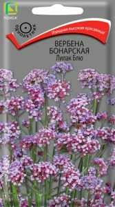 Вербена бонарская Лилак Блю купить