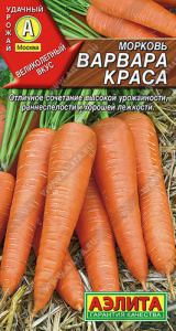 Морковь Варвара краса  купить