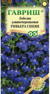 Лобелия Ривьера Синяя  Элитная клумба купить