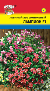 Львиный зев ампельный Лампион  купить