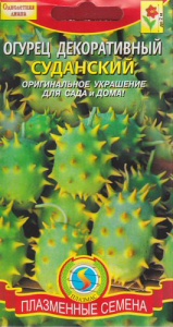 Огурец декоративный Суданский купить